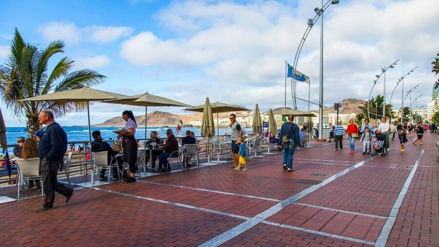 Las Palmas, Botanical Gardens and Bandama Volcano Tour - Why Vegueta, Bandama, and Las Canteras Fit Together in One Day