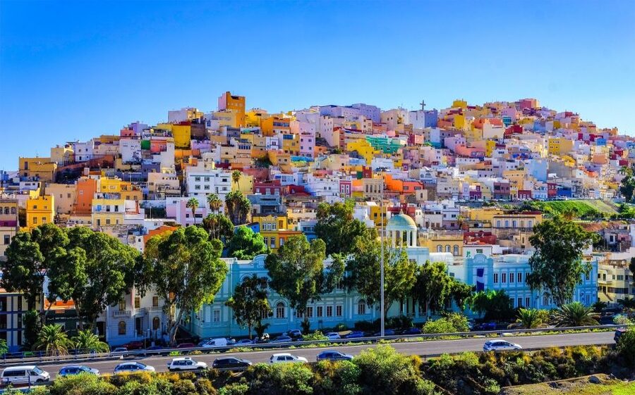 Las Palmas, Botanical Gardens and Bandama Volcano Tour - Canary Islands Botanical Garden: Best-of Time at Viera y Clavijo