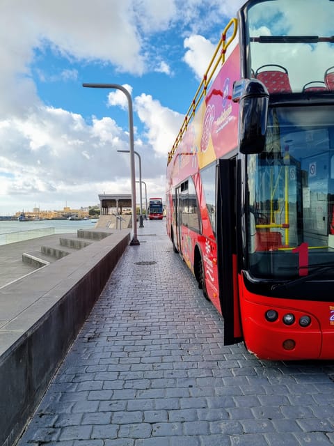 Las Palmas: City Sightseeing Hop-On Hop-Off Bus Tour - Alfredo Kraus Auditorium and Paseo de la Cornisa: the waterfront views that feel like a postcard
