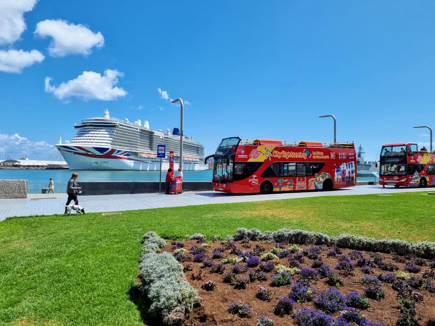 Las Palmas: City Sightseeing Hop-On Hop-Off Bus Tour - San Telmo station, port areas, and Poema del Mar Aquarium