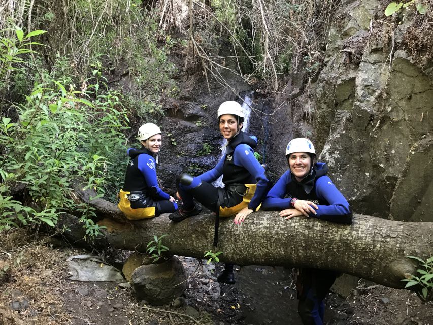 Las Palmas, Gran Canaria: Canyoning Adventure - The jungle walk and the island story behind the scenery