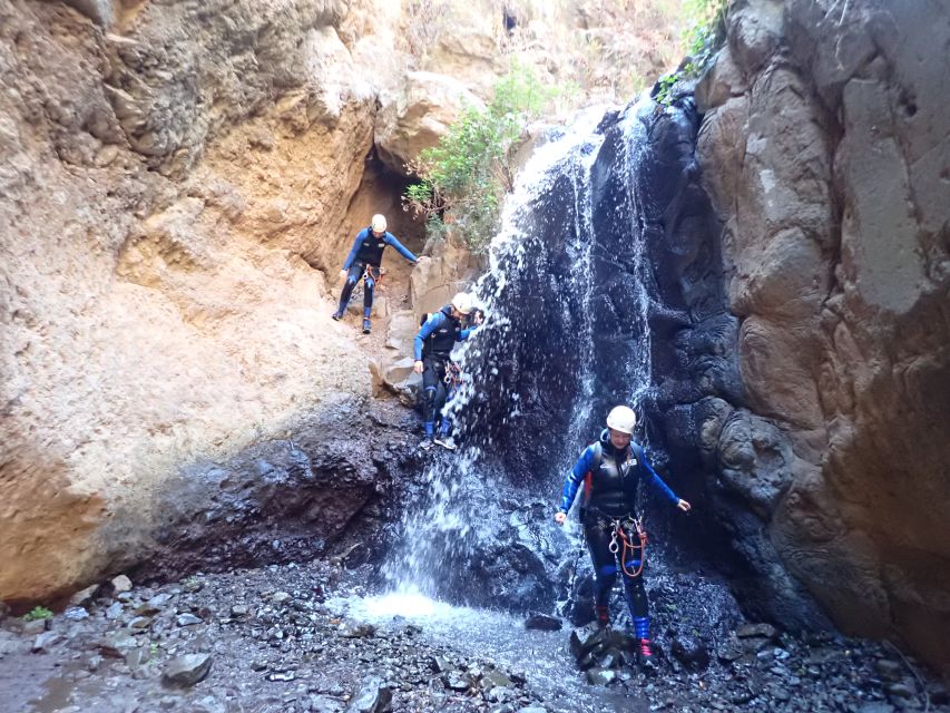 Las Palmas, Gran Canaria: Canyoning Adventure - Price and value: why $77 feels fair for what you get