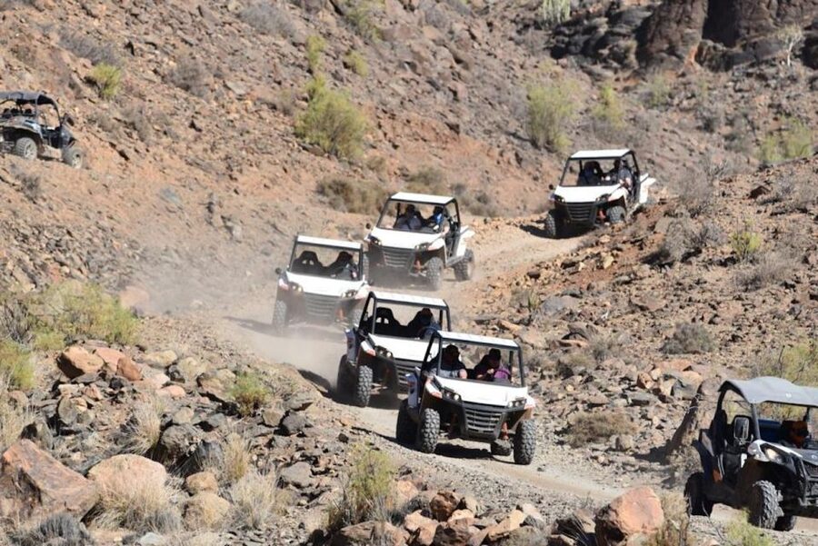 Las Palmas: Gran Canaria Guided Buggy Tour - Who this buggy tour is best for