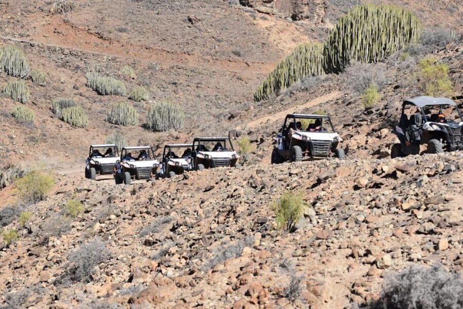 Las Palmas: Gran Canaria Guided Buggy Tour - Price, time, and what $141 buys you