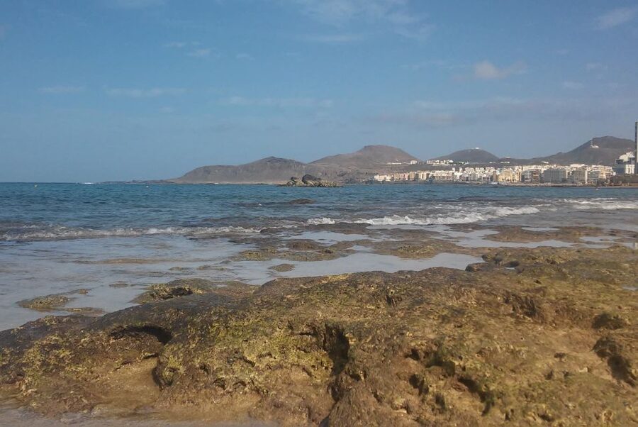 Las Palmas: Las Canteras Beach Snorkeling Trip - Las Canteras Beach, why this urban shoreline works for snorkelers