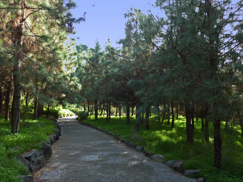 Las Palmas: Privat Botanic Garden Tour & opt. hike Extension - Starting point in Las Palmas Old Town, and why it matters
