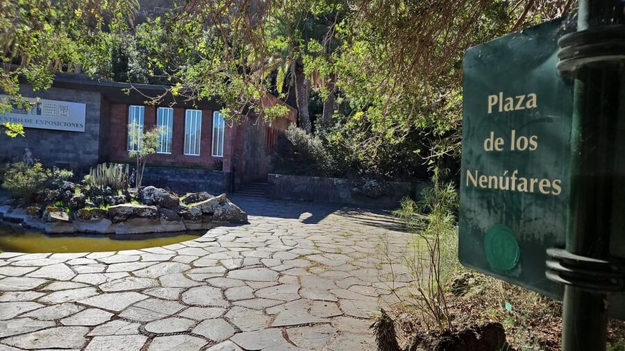 Las Palmas: Privat Botanic Garden Tour & opt. hike Extension - After the tour: your Old Town options (and how to pick)