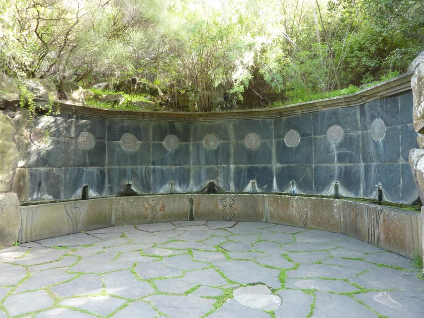 Las Palmas: Privat Botanic Garden Tour & opt. hike Extension - Small practical tips that make the garden visit easier