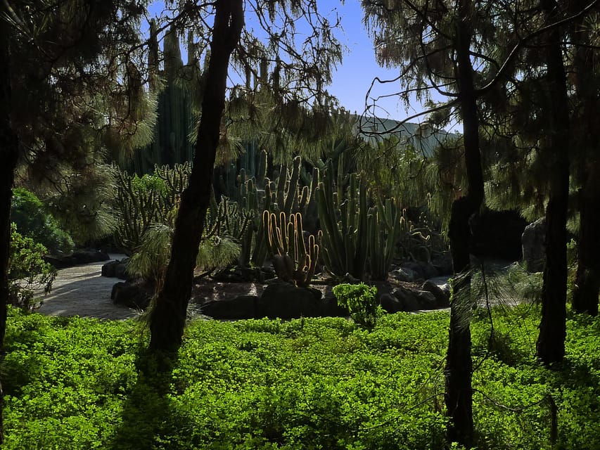 Las Palmas: Privat Botanic Garden Tour & opt. hike Extension - The drive to the garden: residential Las Palmas into plant country