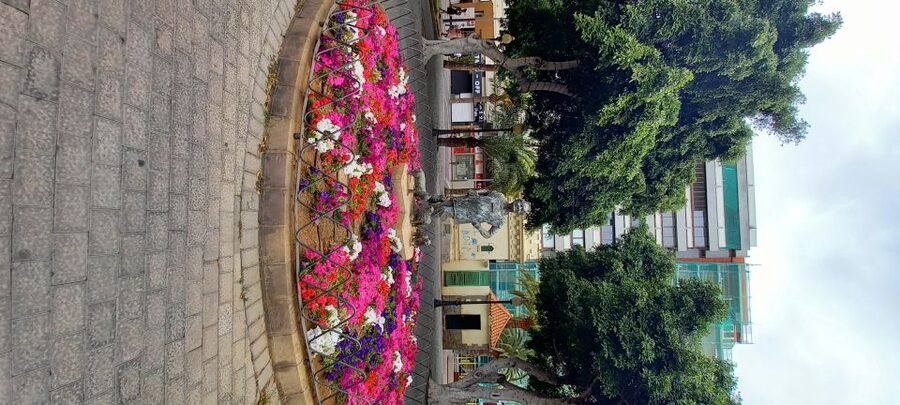 Las Palmas: Private City Highlights & Northern Villages Tour - Why This Las Palmas Private Tour Works So Well