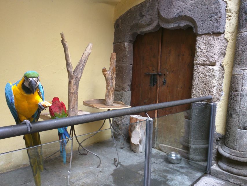Las Palmas: Private Old City Guided Walking Tour with Tapas - Why This Private Old City Walk Works So Well