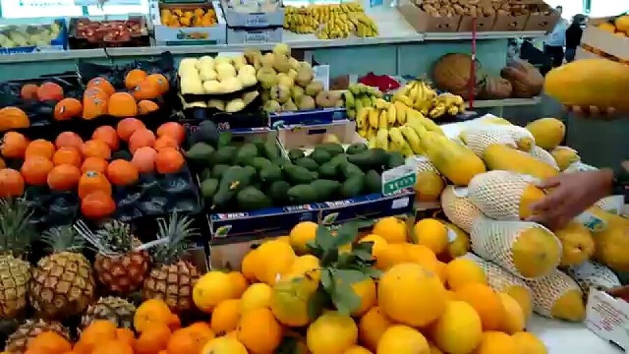 Las Palmas: Private Old City Guided Walking Tour with Tapas - Who This Tour Suits Best