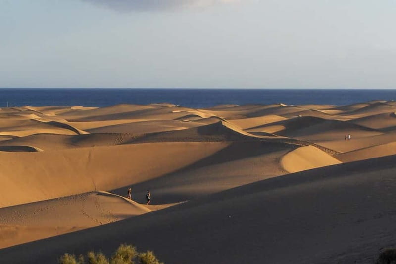 Maspalomas: 1 Hour Segway Sightseeing Tour - What the 1-hour tour really means for your schedule