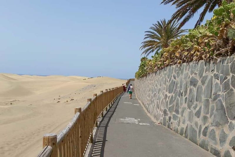 Maspalomas: 1 Hour Segway Sightseeing Tour - Safety setup, small-group pace, and why the coaching matters
