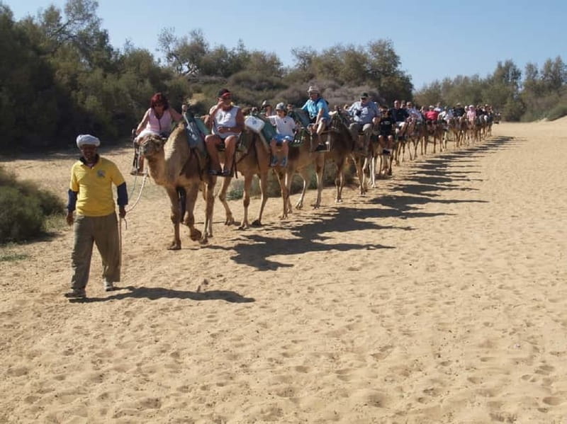 Maspalomas: 2-Seater E-Scooter Dunes Tour with Camel - The driving rules matter: AM or B license, plus age and weight limits