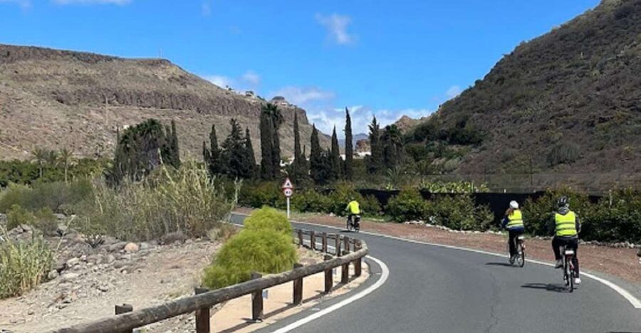 Maspalomas: Ayagaures E-Bike Mountain Tour Optional Tapas - Key highlights worth planning around