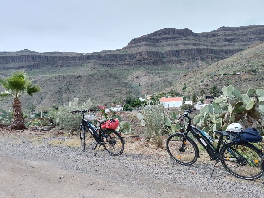Maspalomas: Ayagaures E-Bike Mountain Tour Optional Tapas - Starting at Bici Bike Vintage in Maspalomas