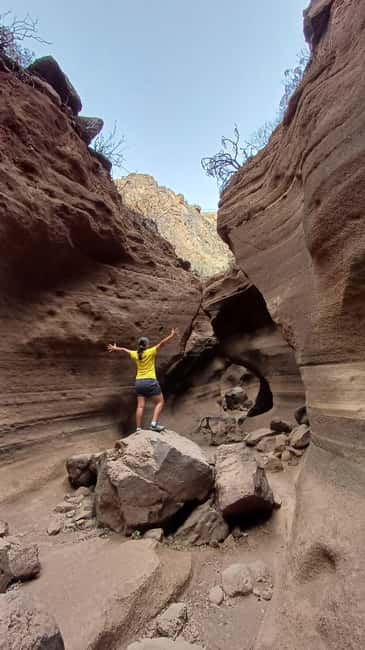 Maspalomas: Barranco de las Vacas, Caves, Farmhouse Tour - The Van Ride That Sets the Mood (and Saves Your Legs)