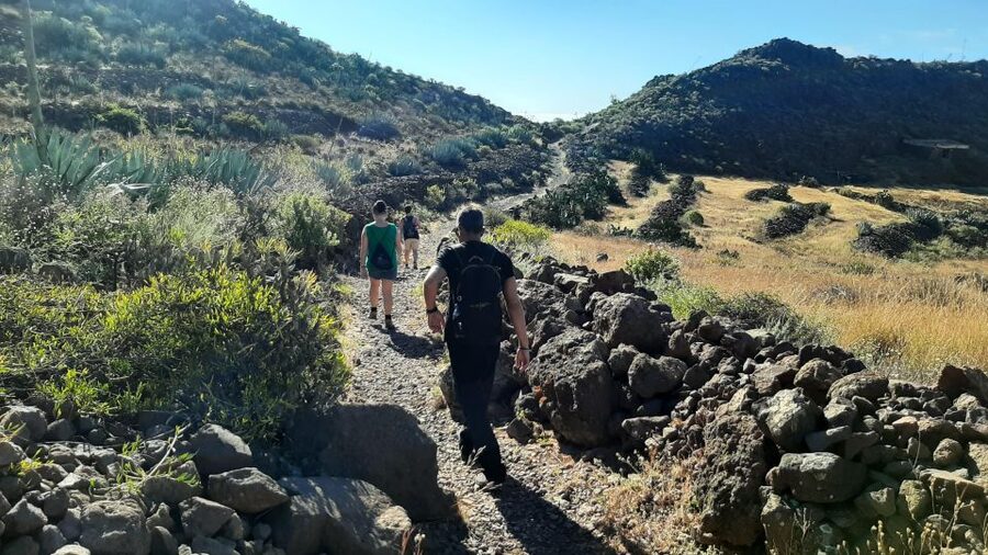 Maspalomas: Barranco de las Vacas, Caves, Farmhouse Tour - Who Should Book This and Who Should Skip It