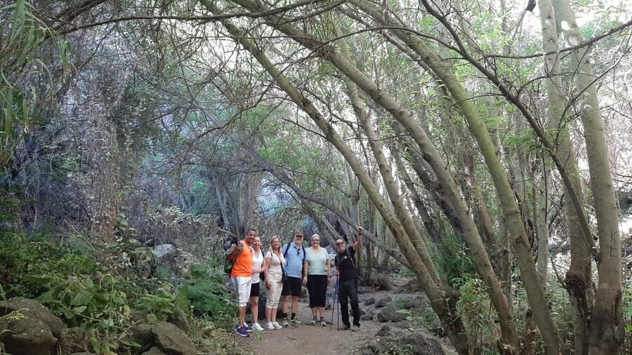 Maspalomas: Barranco de los Cernicalos Rainforest Hike - Walking Barranco de los Cernícalos: distance, climbs, and views