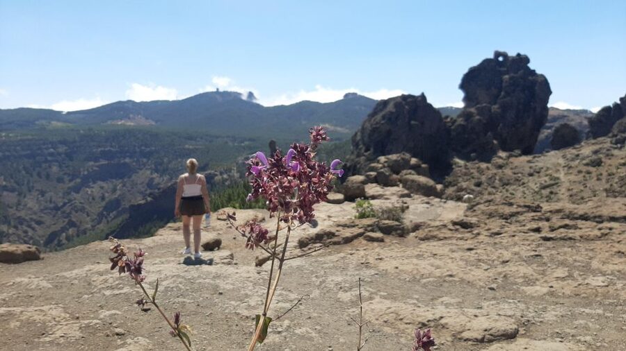 Maspalomas: Hiking to Roque Nublo with 2 authorised guides - Price and value: what $93 per person buys you