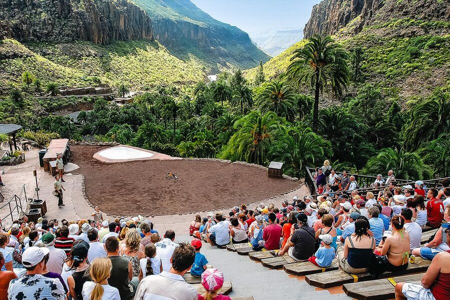 Maspalomas: Palmitos Park Ticket with Dolphin and Bird Shows - Food, drinks, and the art of spending less inside the gate