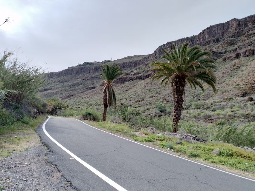 Maspalomas: Southern Coast E-Bike Tour Option Tapas Tasting - Key highlights that make this tour worth your time