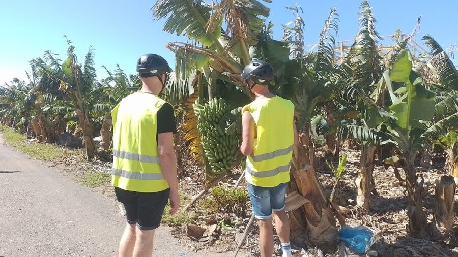 Maspalomas: Southern Coast E-Bike Tour Option Tapas Tasting - El Pajar fishing village: volcanic beach vibes and optional tapas lunch