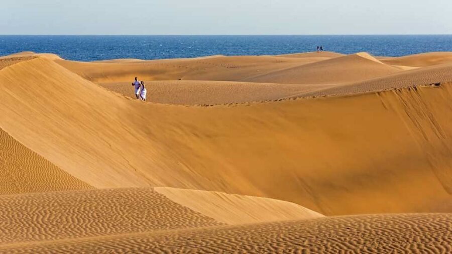 Maspalomas: Southern Coast E-Bike Tour Option Tapas Tasting - Maspalomas Dunes: where the scenery turns from beach to nature reserve