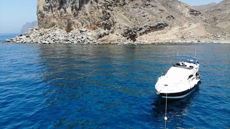 Mogan: Dolphin Watching Boat Trip with Swim Stop - Key Things That Make This Trip Worth Your Time