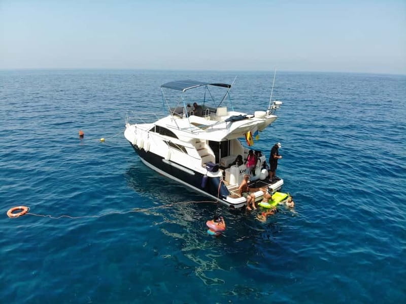 Mogan: Dolphin Watching Boat Trip with Swim Stop - Puerto de Mogan Dolphin Watching: What the 4 Hours Feels Like