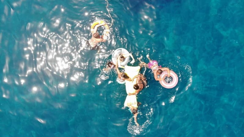 Mogan: Dolphin Watching Boat Trip with Swim Stop - How Dolphin Watching Works on This Route