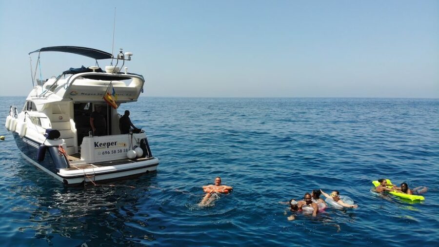 Mogan: Dolphin Watching Boat Trip with Swim Stop - What You’ll Actually See: More Than Just Dolphins