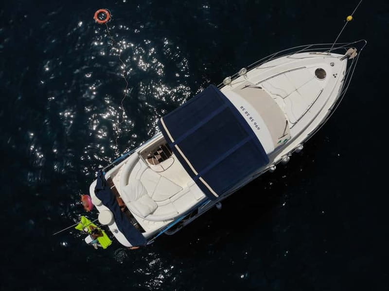 Mogan: Dolphin Watching Boat Trip with Swim Stop - Who This Trip Fits Best (and Who Might Be Happier Elsewhere)