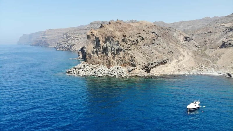 Mogan: Dolphin Watching Boat Trip with Swim Stop - Practical Tips Before You Go (So the Day Goes Smoothly)
