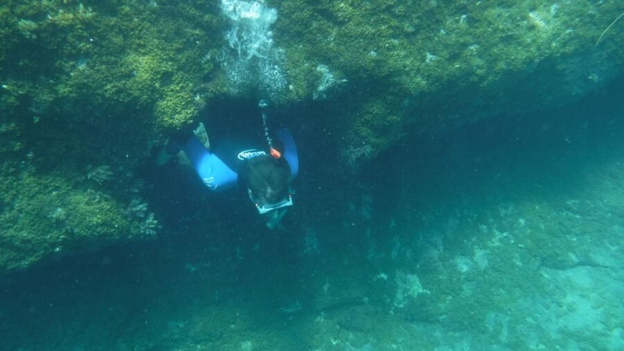 Mogán: Guided Kayak to Caves and Snorkeling Tour - Who should book this Mogán kayak and snorkeling tour?