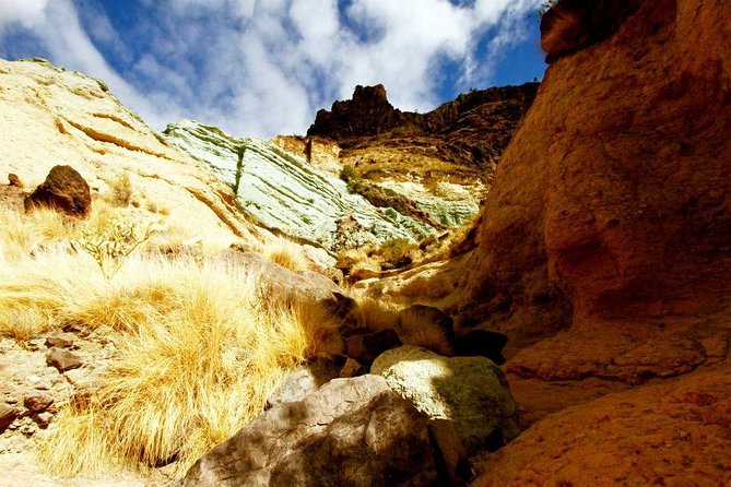 Mogán, La Aldea, Las Canteras - Big Island Tour Gran Canaria - Key Things I’d Watch Before You Book