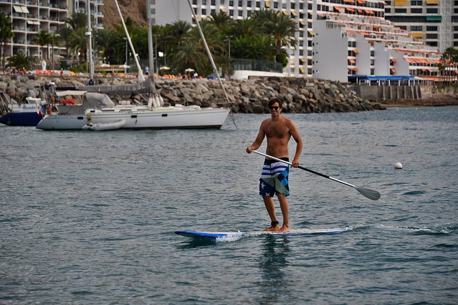 Paddle Surf SUP at Anfi Beach - What you’ll see: exploring Gran Canaria’s south coast by sea