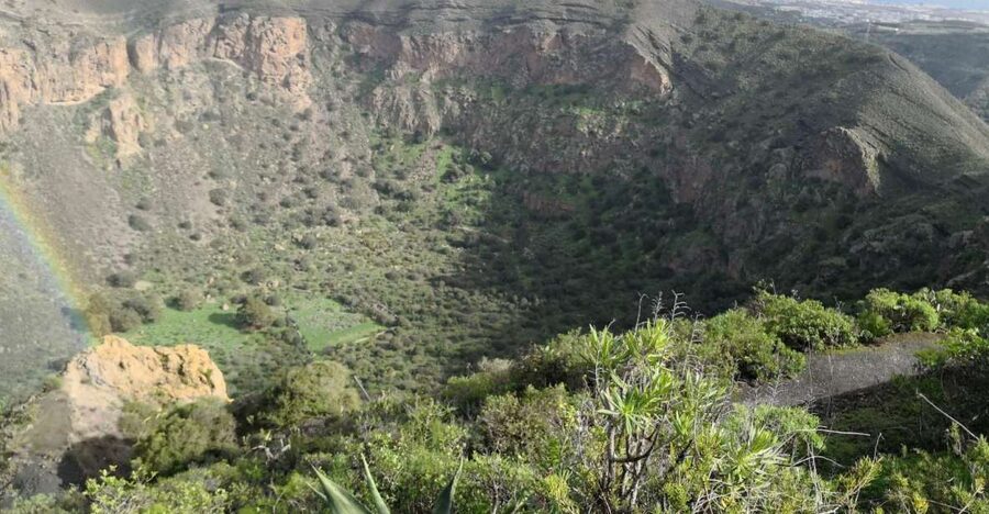 Private Bandama Caldera Volcano, Botanic Garden & Old Town - Why this Bandama plus Old Town combo makes sense