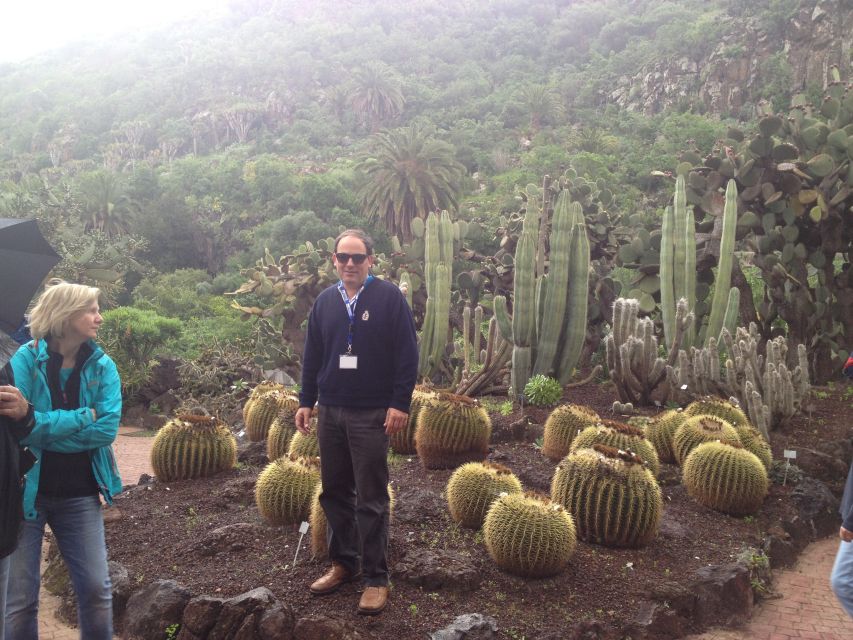 Private Bandama Caldera Volcano, Botanic Garden & Old Town - Botanical Garden of the Canaries: laurel forest, pine forest, and cacti of all sizes