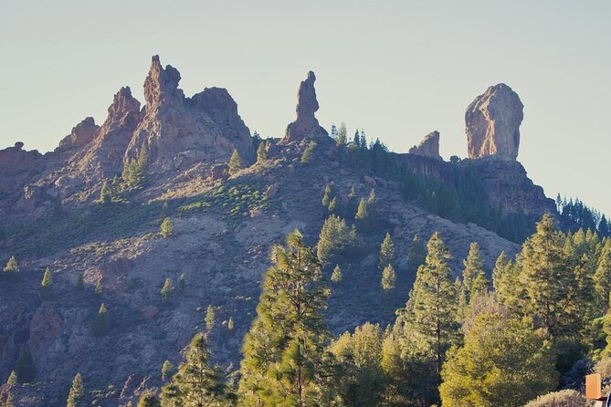 Private Excursion The mountains of Gran Canaria for 2 to 4 people - Meeting at 9:00, and How the 9-Hour Timing Actually Plays Out