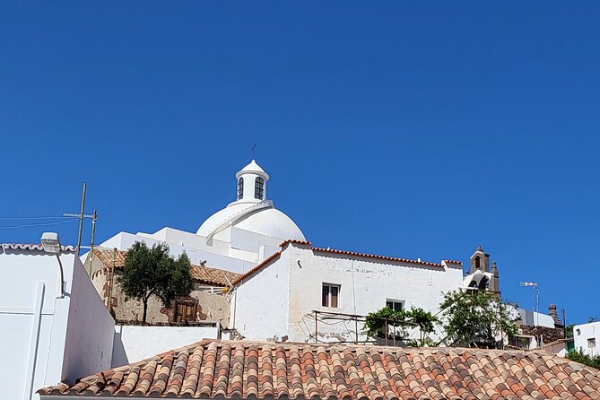 Private Excursion The mountains of Gran Canaria for 2 to 4 people - Pico de las Nieves: Highest Point and UNESCO Biosphere Views