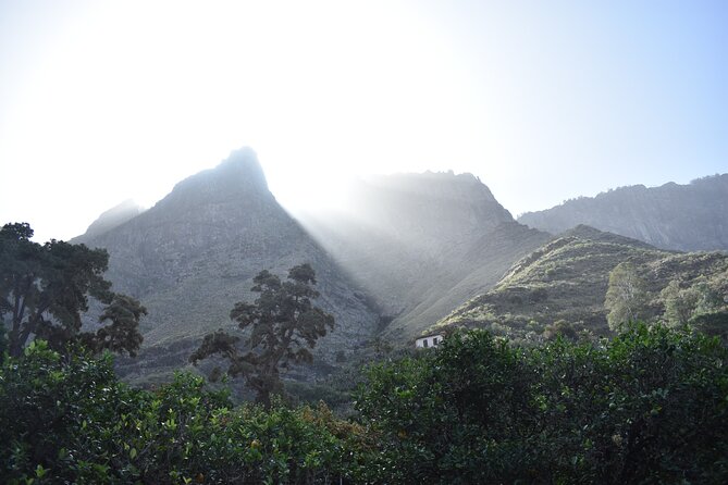 Private Shore Excursion in Gran Canaria - Pickup, Timing, and How the Day Flows