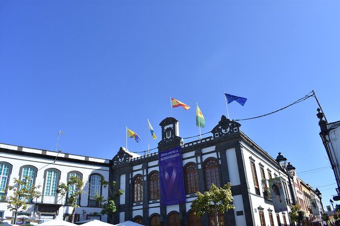 Private Shore Excursion in Gran Canaria - Valle de Agaete: Coffee Plantation, Wine Cellar, Tapas, and Tasting