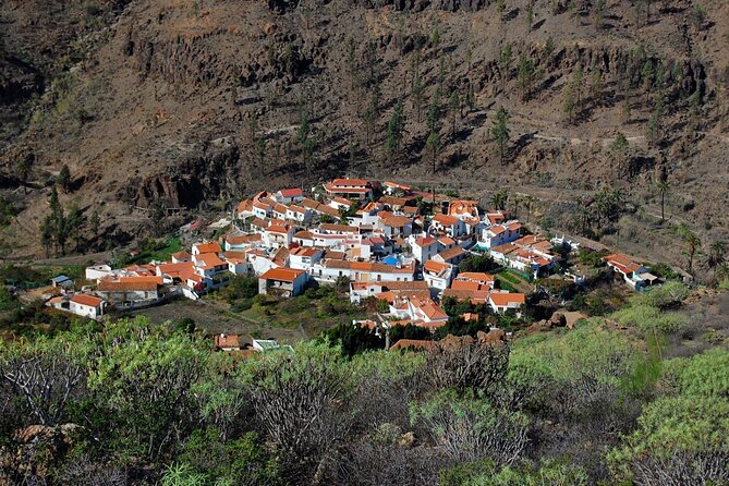 Private shore excursion in Gran Canaria the miniature continent - Key things I’d circle before you book