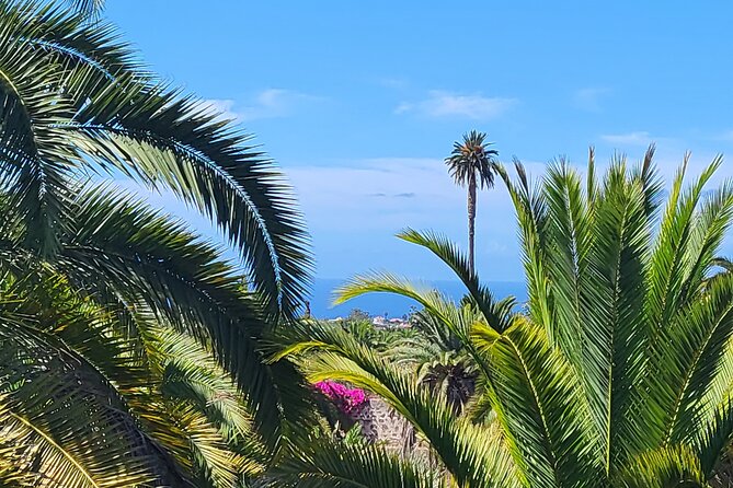 Private Tour from the Port of Las Palmas to Teror Firgas Arucas - Firgas and the Paseo de Gran Canaria, Where Water Gets the Spotlight