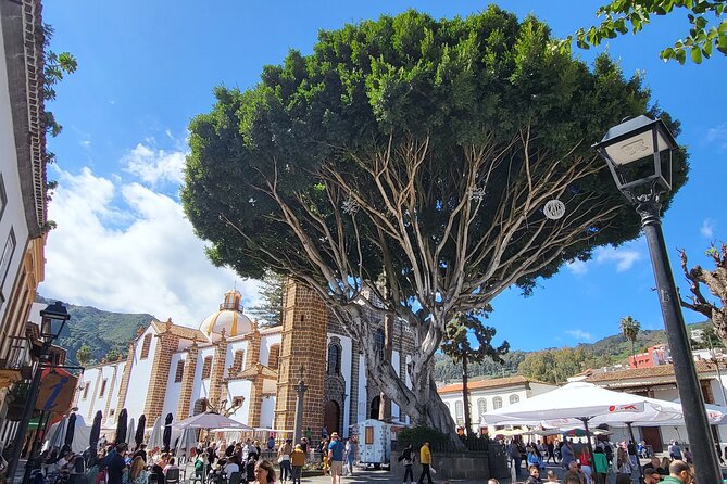 Private Tour from the Port of Las Palmas to Teror Firgas Arucas - Arucas: Four Towers, Black Basalt, and a Garden That Feels Like a Pocket Climate