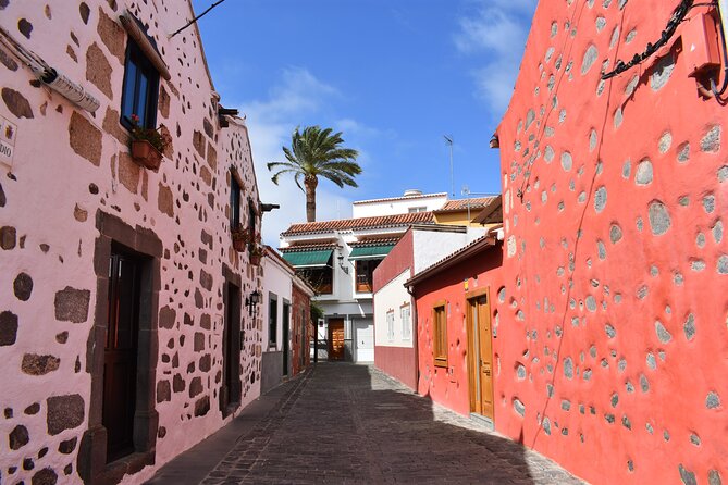 Private Tour Guide in Gran Canaria - Stop 5: Valle de Agaete, wine cellar tour with tapas, coffee, and tropical fruit culture