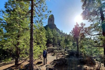 Professional climbing guide