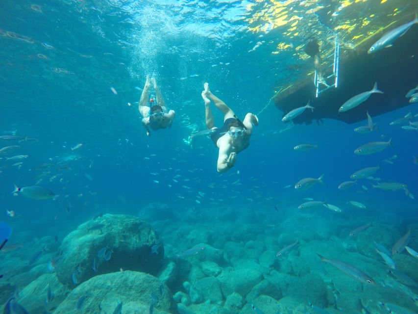 Puerto de Mogan: Boat and Snorkeling Trip - Key Points Before You Go